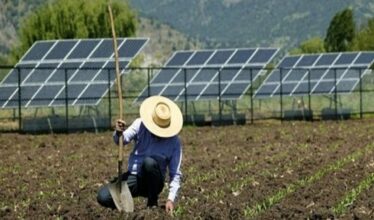 Com energia elétrica nas alturas devido à crise hídrica, agronegócio busca amparo na energia solar e nos painéis fotovoltaicos, para manter sua produção ativa