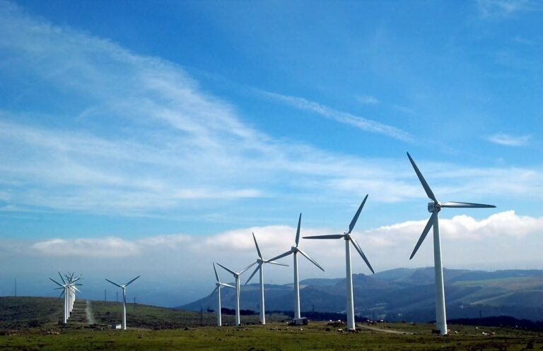 1º Parque De Energia Eólica Será Instalado Em Alagoas único Estado Do