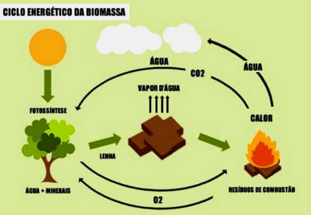 energias renováveis biomassa