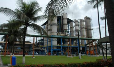 Sindalcool ressalta potencial do estado da Paraíba para a produção de uma energia renovável e sustentável com o uso das usinas de biomassa