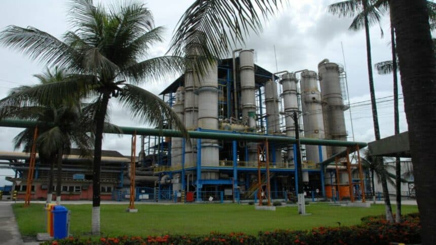 Sindalcool ressalta potencial do estado da Paraíba para a produção de uma energia renovável e sustentável com o uso das usinas de biomassa