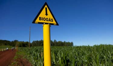 Um projeto de lei foi proposto para a criação de um programa que incentive o aproveitamento do biogás no Brasil, na busca de fontes de energia renovável