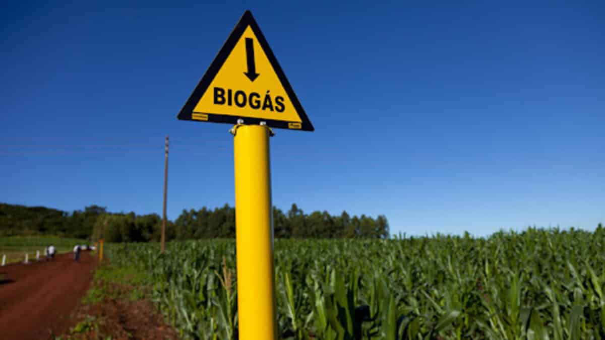 Um projeto de lei foi proposto para a criação de um programa que incentive o aproveitamento do biogás no Brasil, na busca de fontes de energia renovável