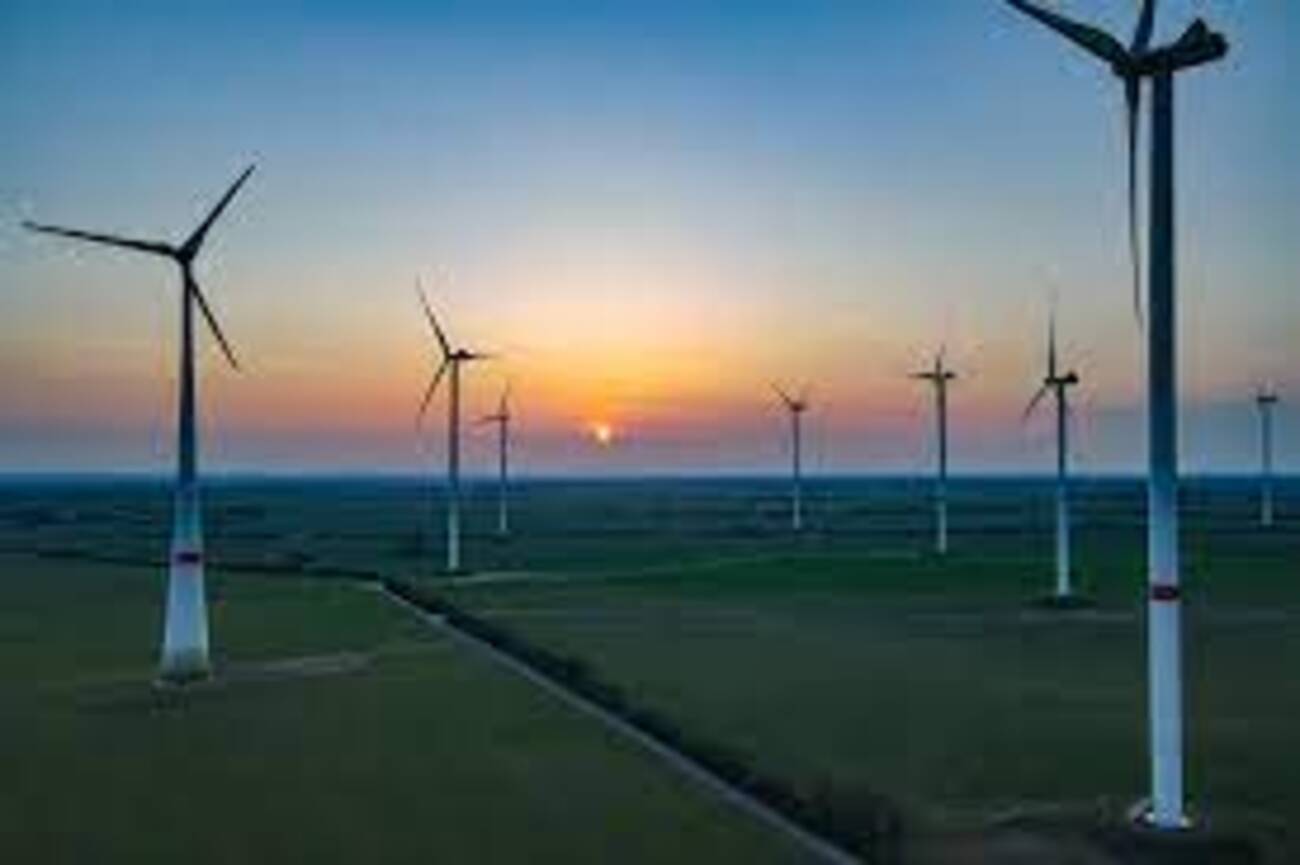M. Dias Branco firma parceria com novos investimentos verdes com Ômega para geração de energia eólica: o que acontece agora? - Canva
